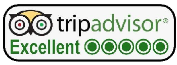 Write a trip advisor review